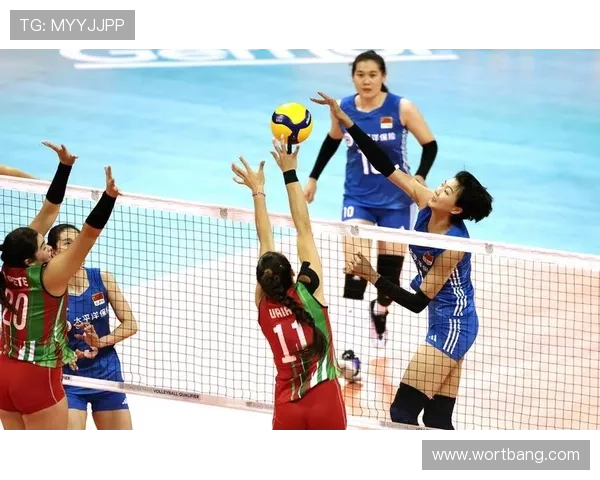 杭州排球队创历史新高排球状态排名再创新高峰
